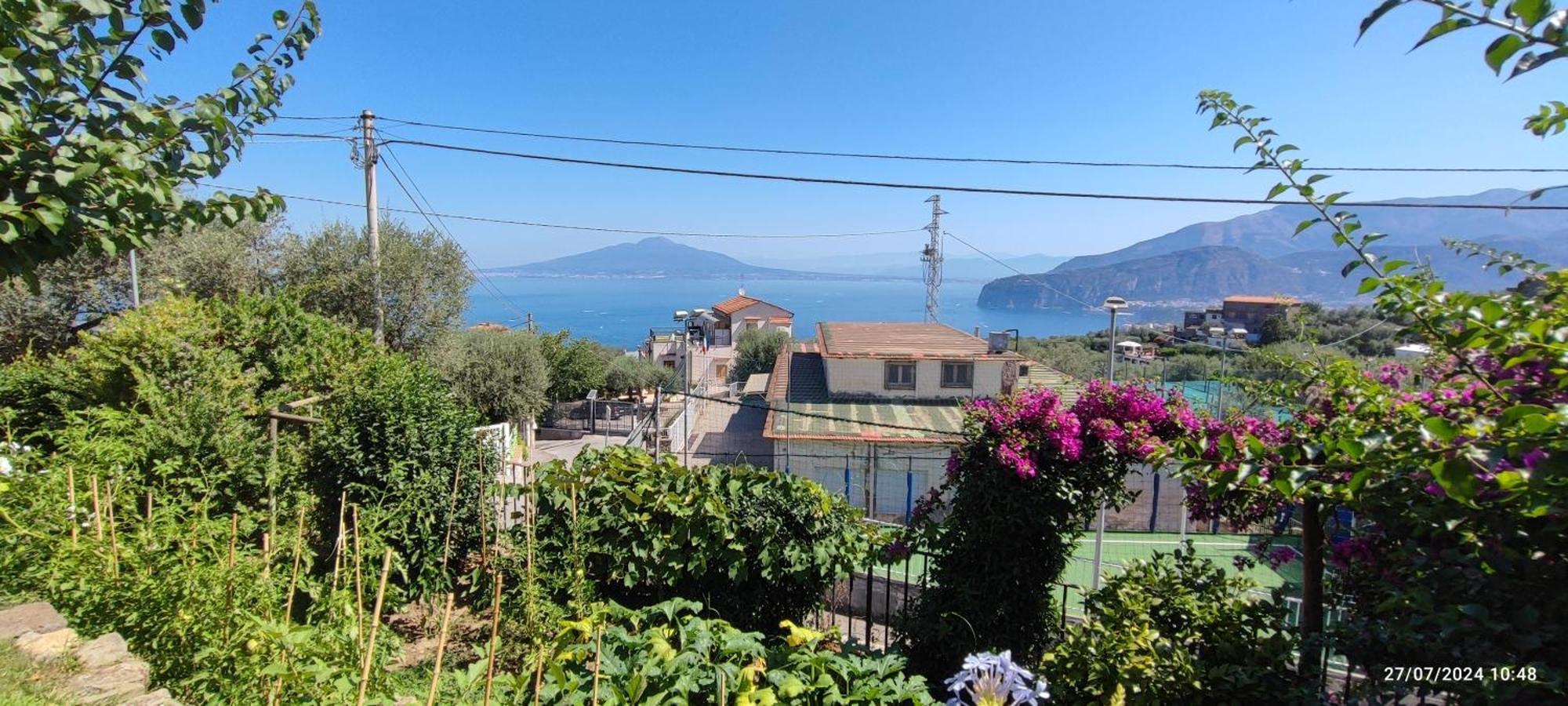 Lally'S Garden Bed and Breakfast Sorrento Buitenkant foto