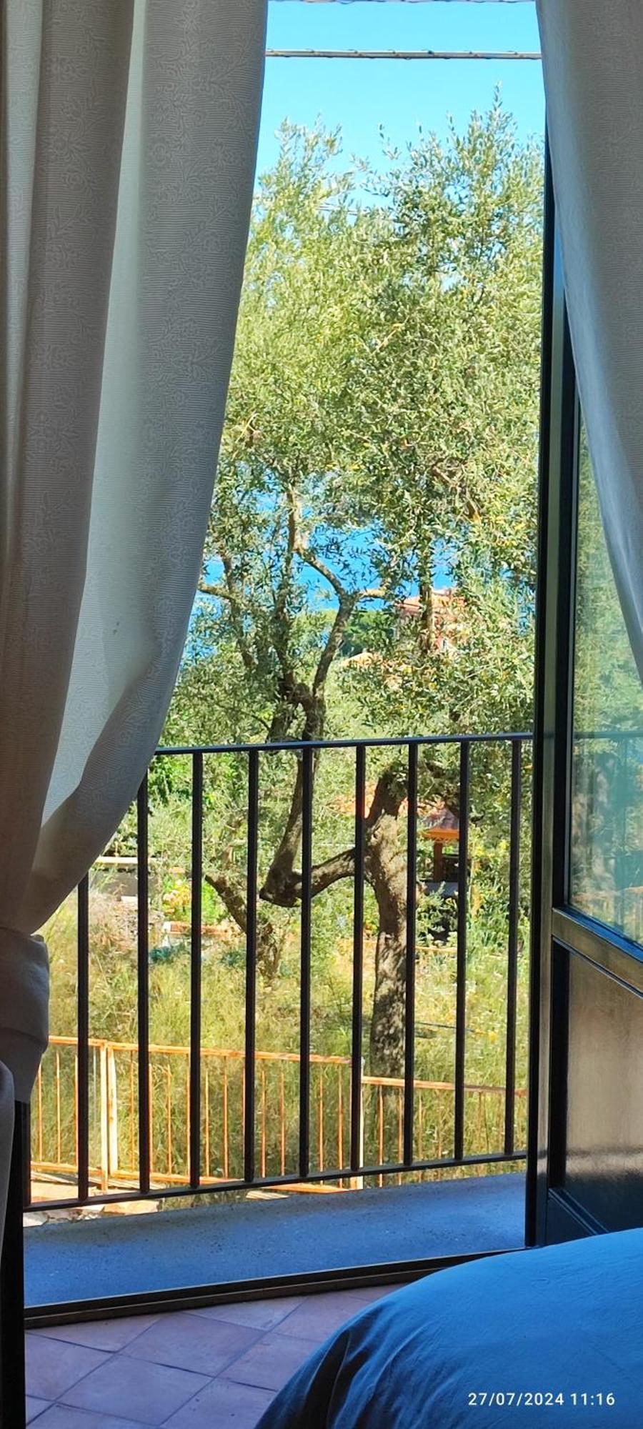 Lally'S Garden Bed and Breakfast Sorrento Buitenkant foto