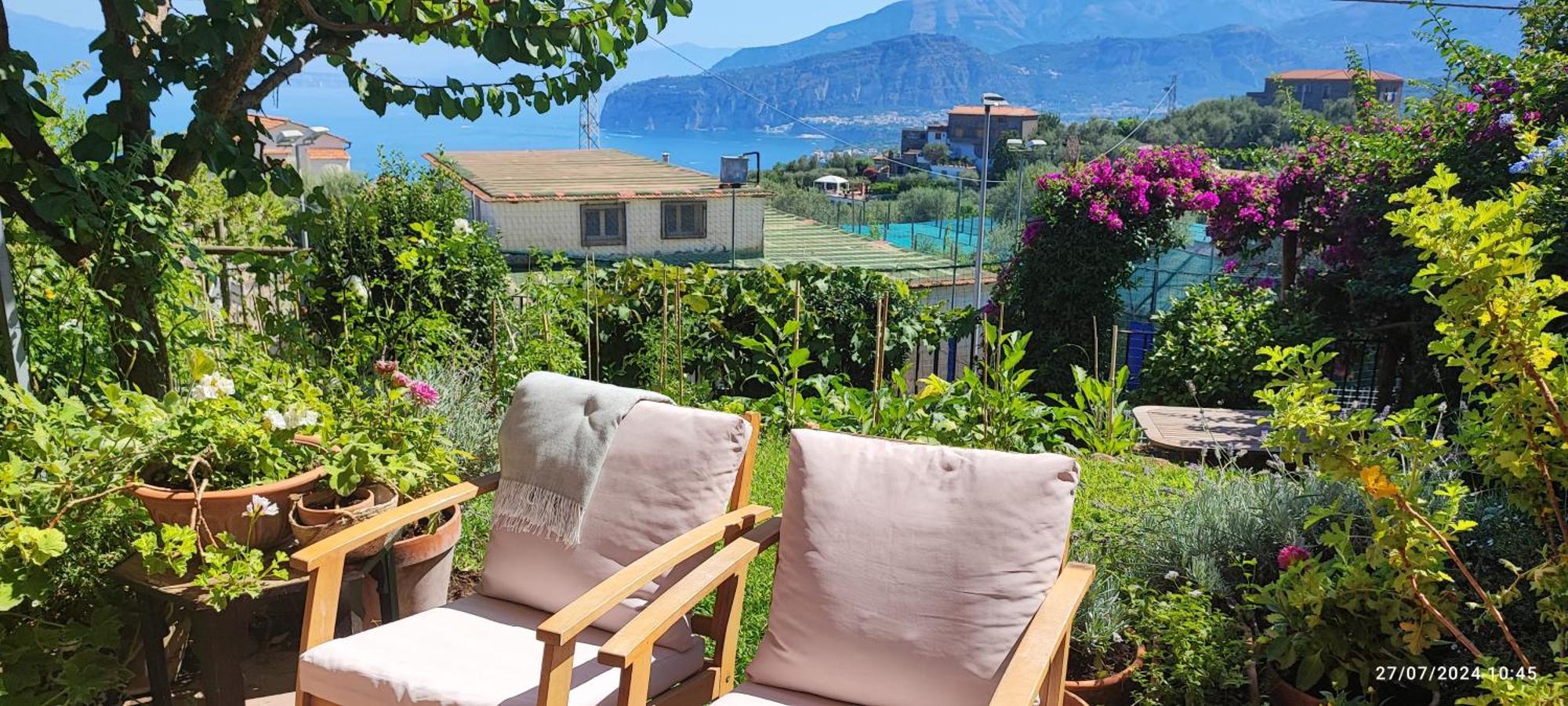 Lally'S Garden Bed and Breakfast Sorrento Buitenkant foto